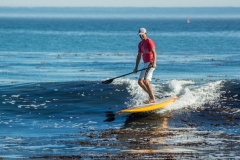 surfing_steamers_paddleboard_09_26_16