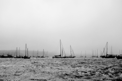 americas_cup_sf_sailboats_bw