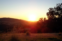 sunset_carmel_valley